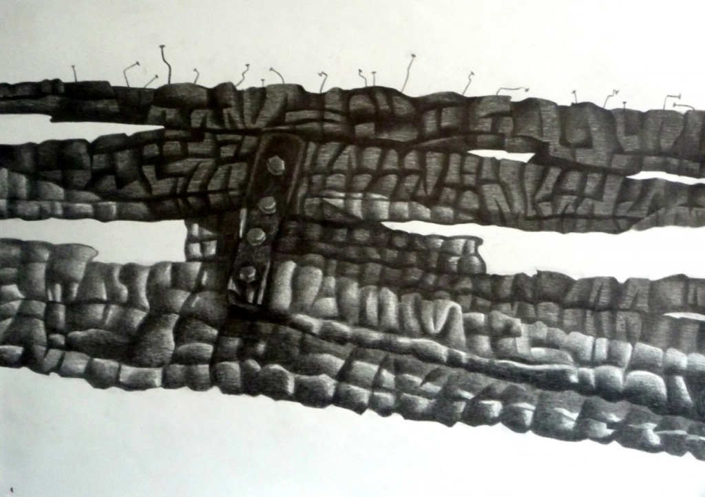 5-1. Сгоревшее дерево. 2013. Б.,к. 60×80-.jpg